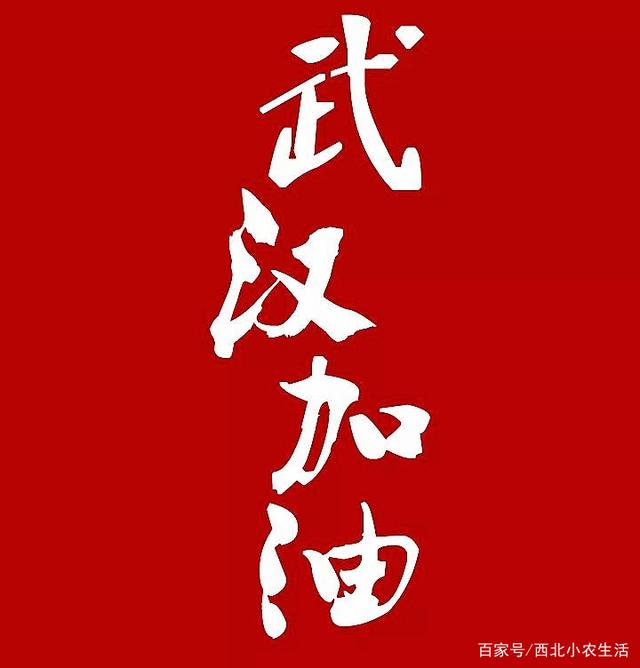 在防控疫情阶段